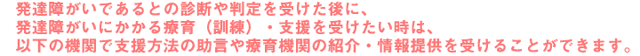 発達障がいであるとの診断や判定を受けた後に、発達障がいにかかる療育(訓練)・支援を受けたい時は、以下の機関で支援方法の助言や療育機関の紹介・情報提供を受けることができます。